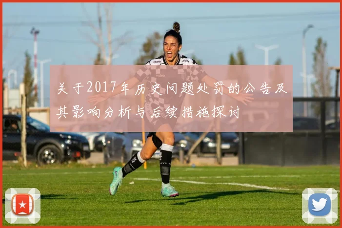 关于2017年历史问题处罚的公告及其影响分析与后续措施探讨