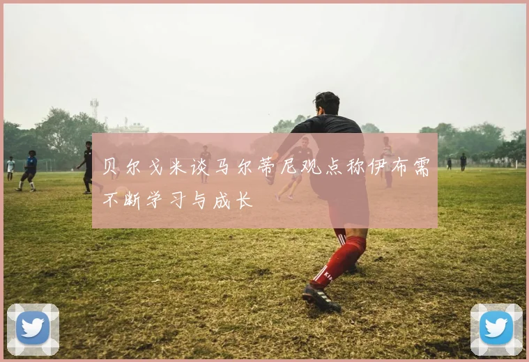 贝尔戈米谈马尔蒂尼观点称伊布需不断学习与成长